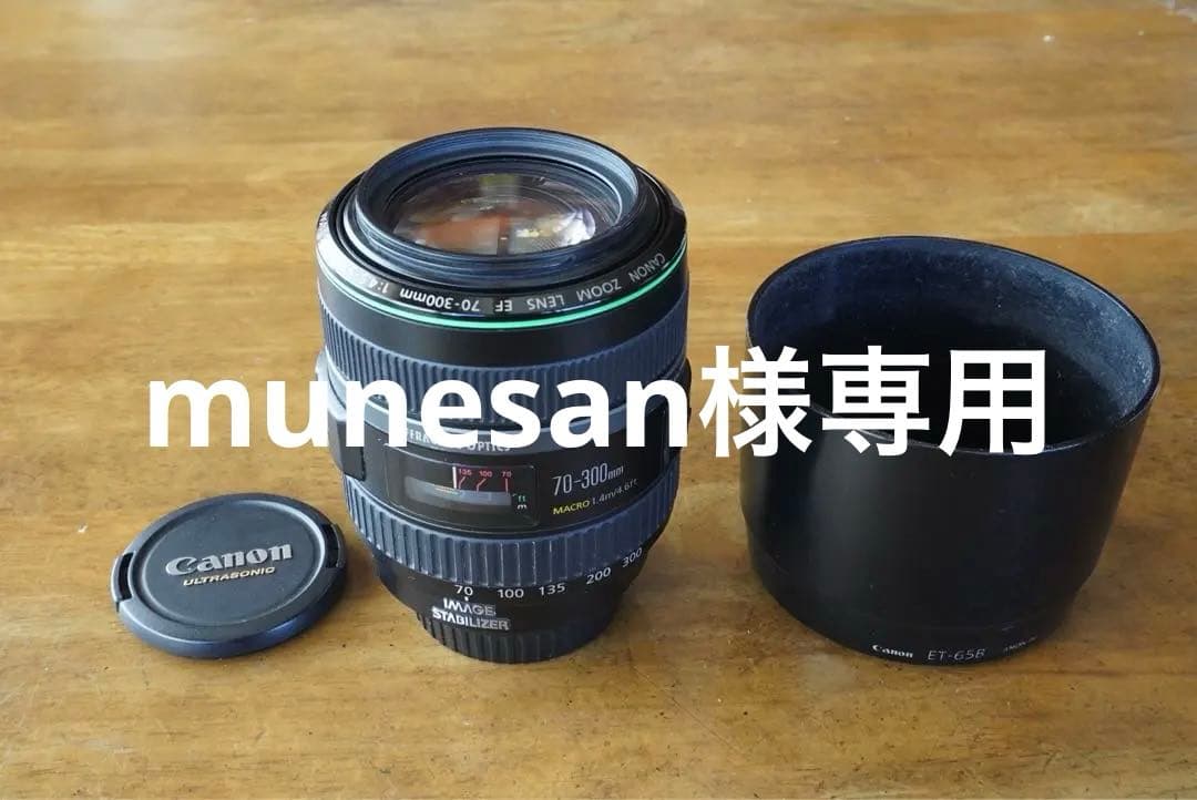 レンズ(単焦点) EF70-300mm F4.5-5.6 DO IS USM