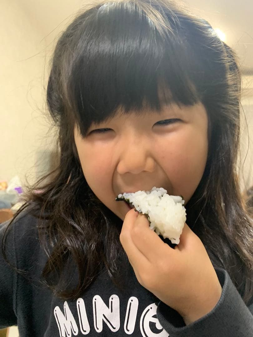 父の安全安心低農薬米こしひかり 10kg 千葉県成田市産