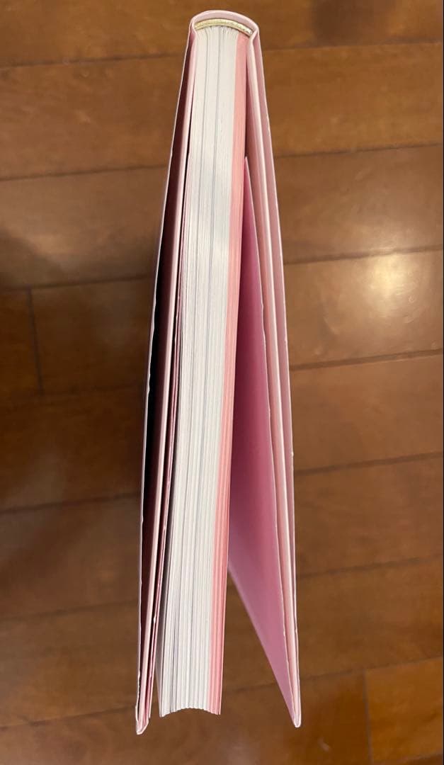 【美品】ガブリエル・オロスコ　内なる複数のサイクル