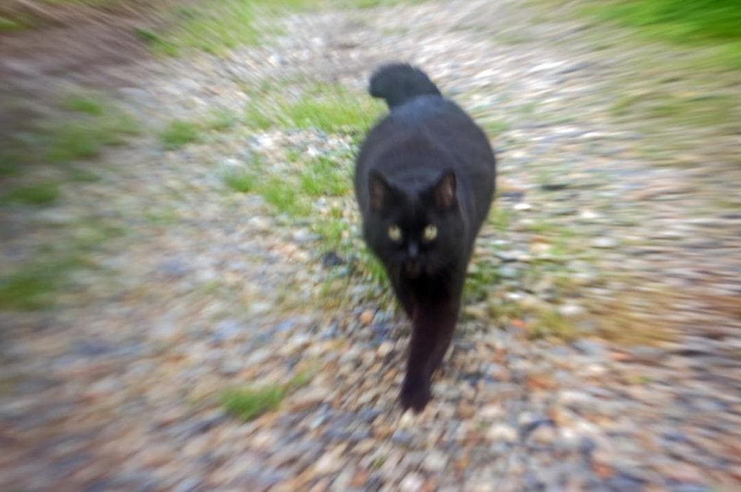 珍品！ Carl Zeiss Tessar 50mm F2.8 M39