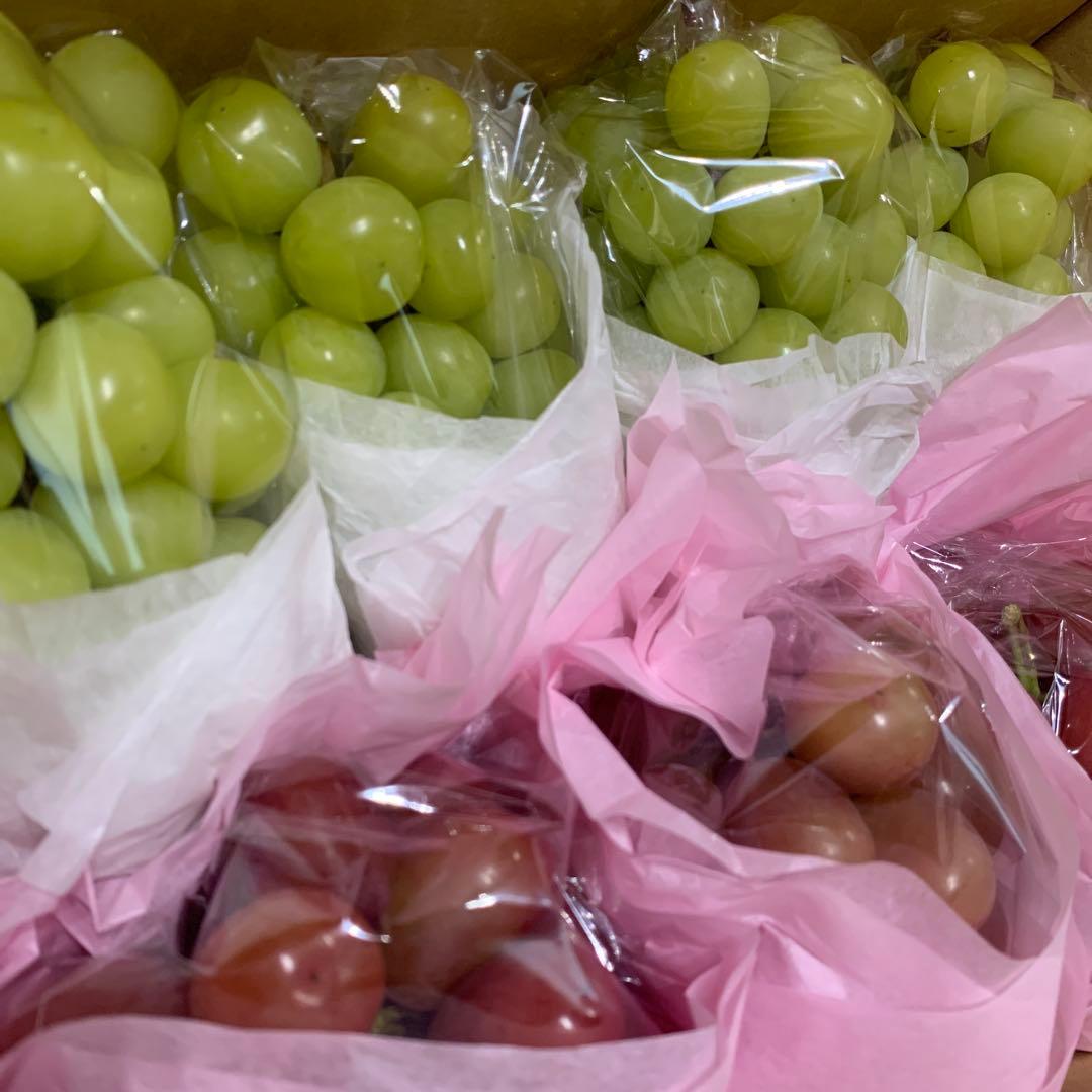 ①信州　葡萄おまかせBOX （4キロ箱2セット」）