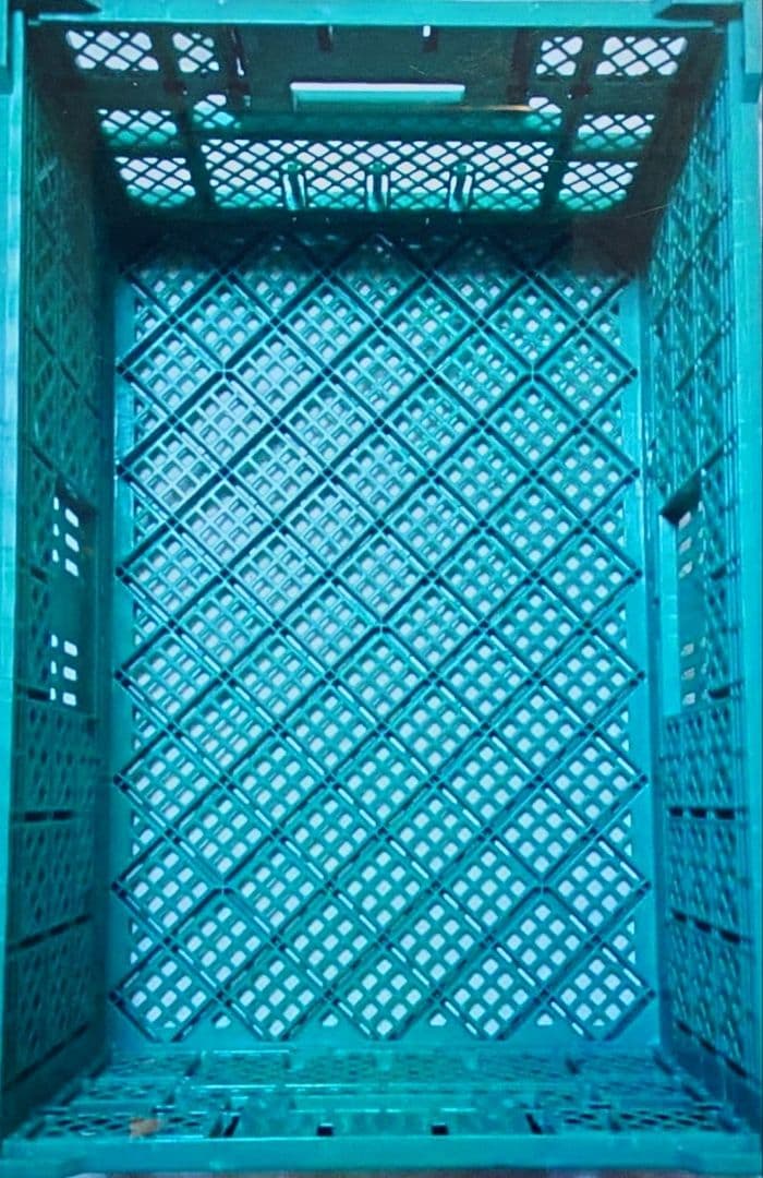 折りたたみ　コンテナ　オレコン　オリコン　×10枚