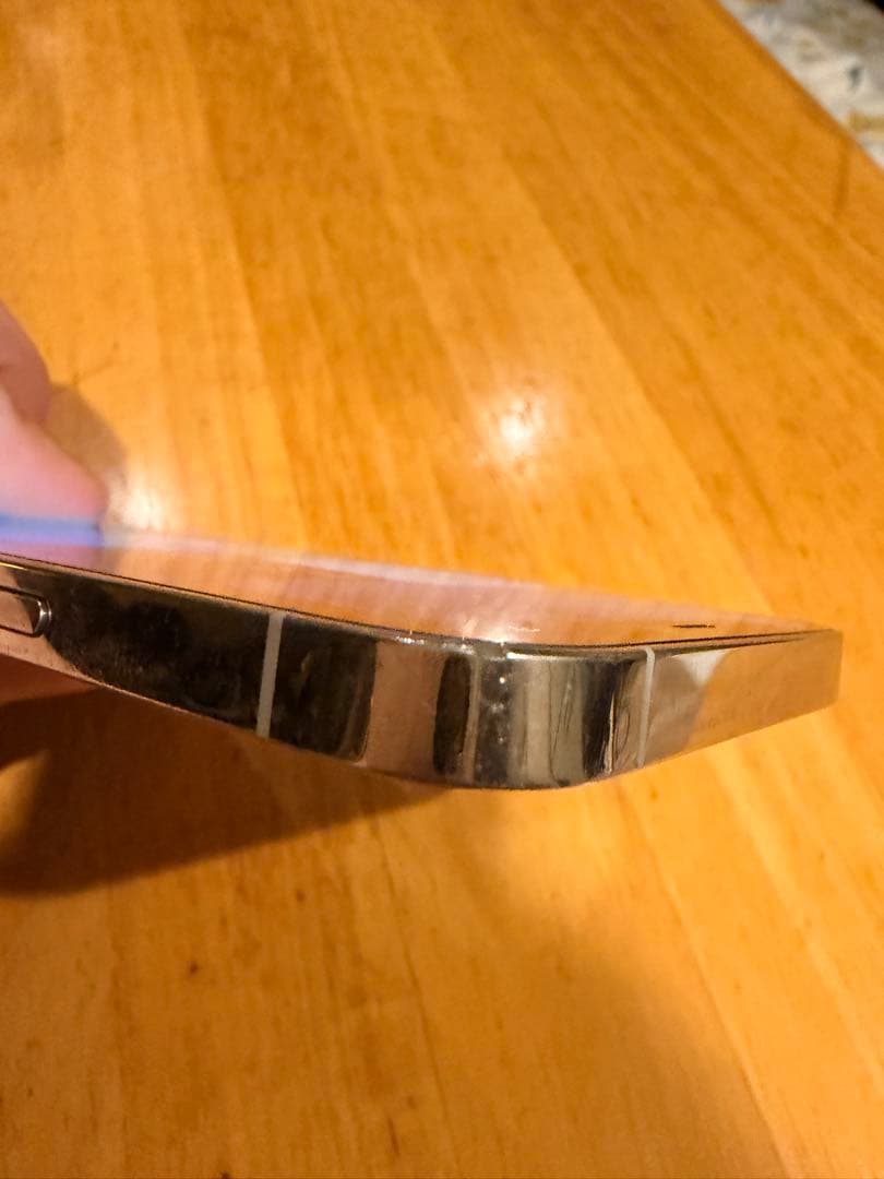 iPhone 12 Pro 256GB ジャンク