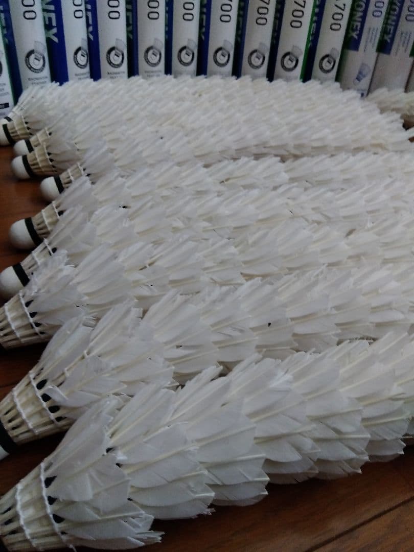 バドミントン　中古シャトル　180球＋α