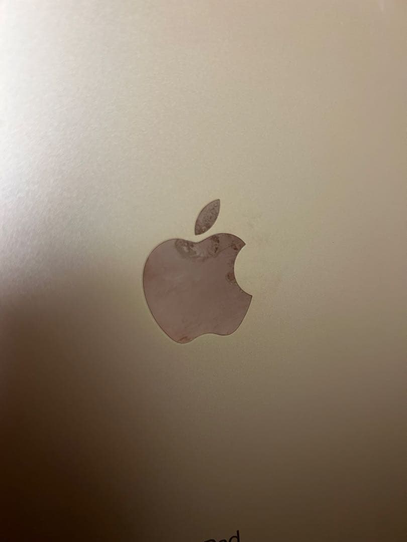 iPad mini(第5世代) Wi-Fi 64GB