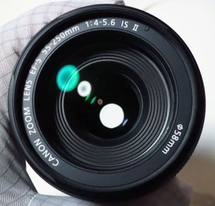 Canon EF-S55-250mm F4-5.6 IS II　フード付き