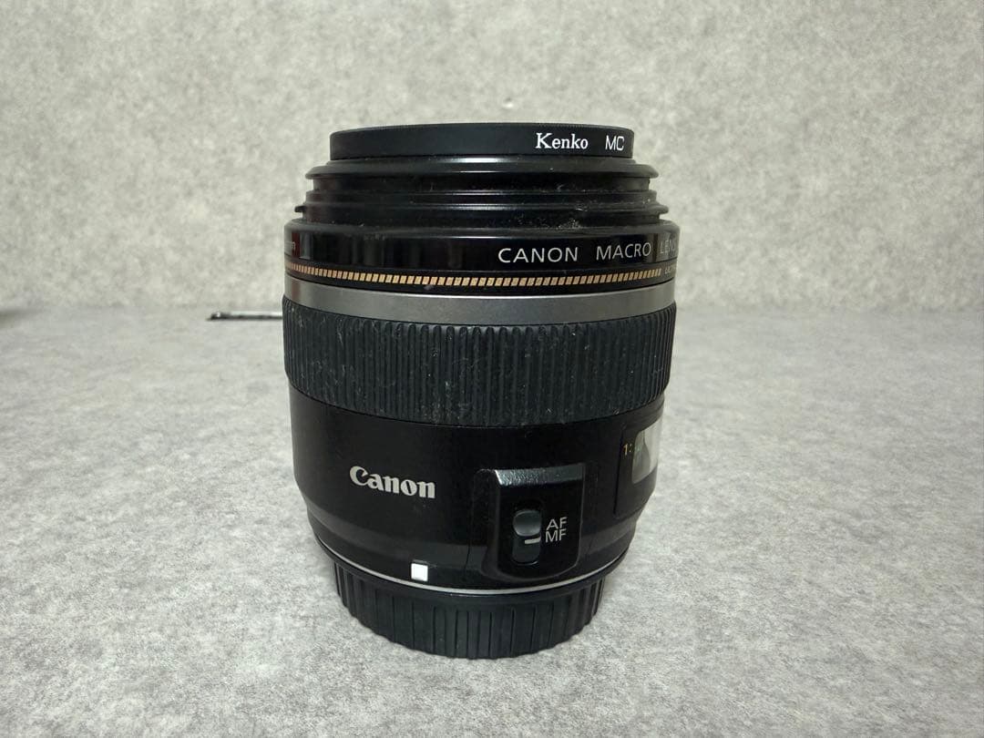 Canon EFS 60mm f/2.8 Macro USM 単焦点 マクロ