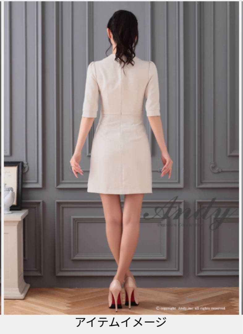 新品、未使用　アンディ　ドレス　Sサイズ