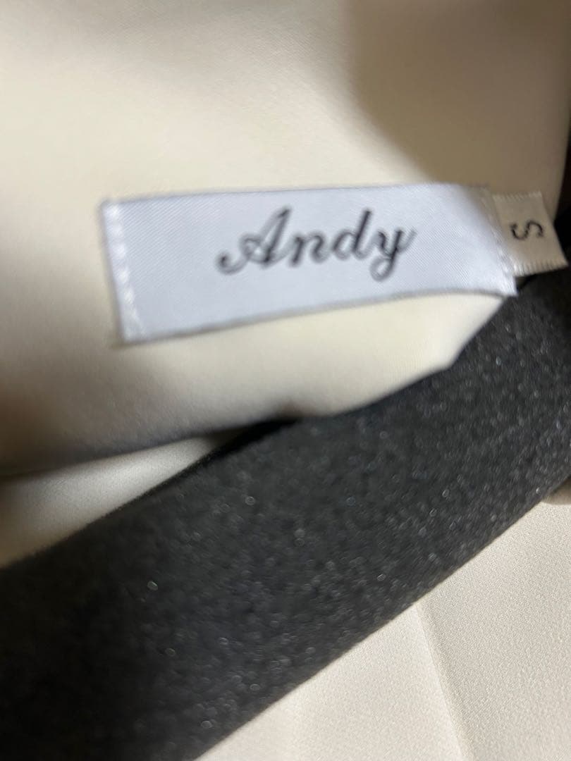 新品、未使用　アンディ　ドレス　Sサイズ