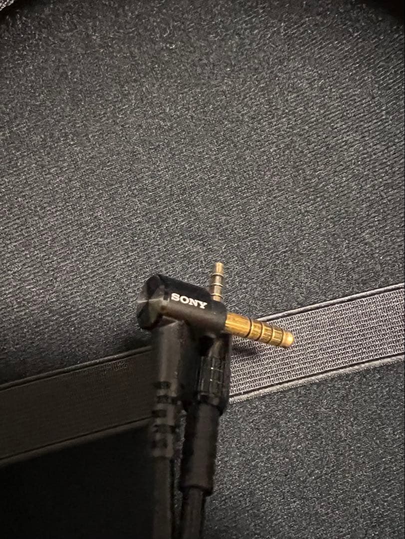 SONY MDR-MV1 4.4mmのバランスケーブル、キャリングケース付き