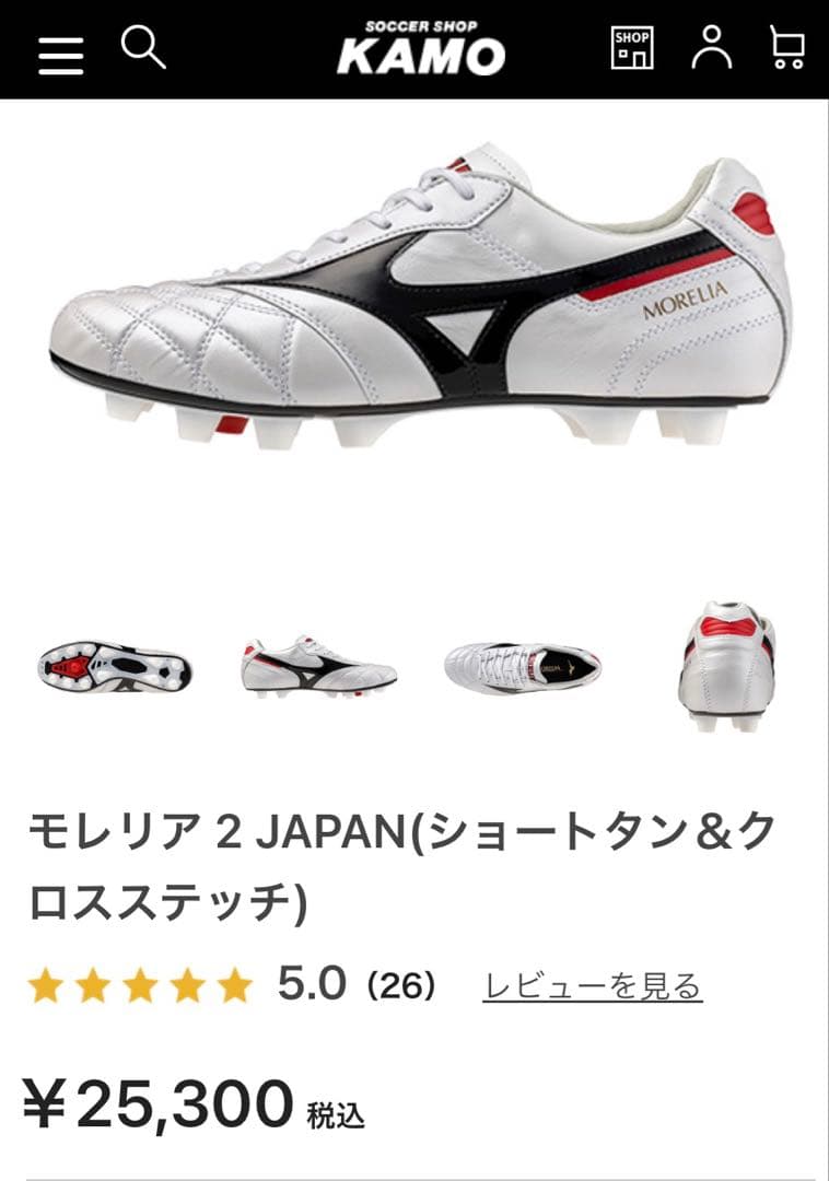 モレリア2 自宅で試し履きのみ　23.5 ミズノ　未使用　革