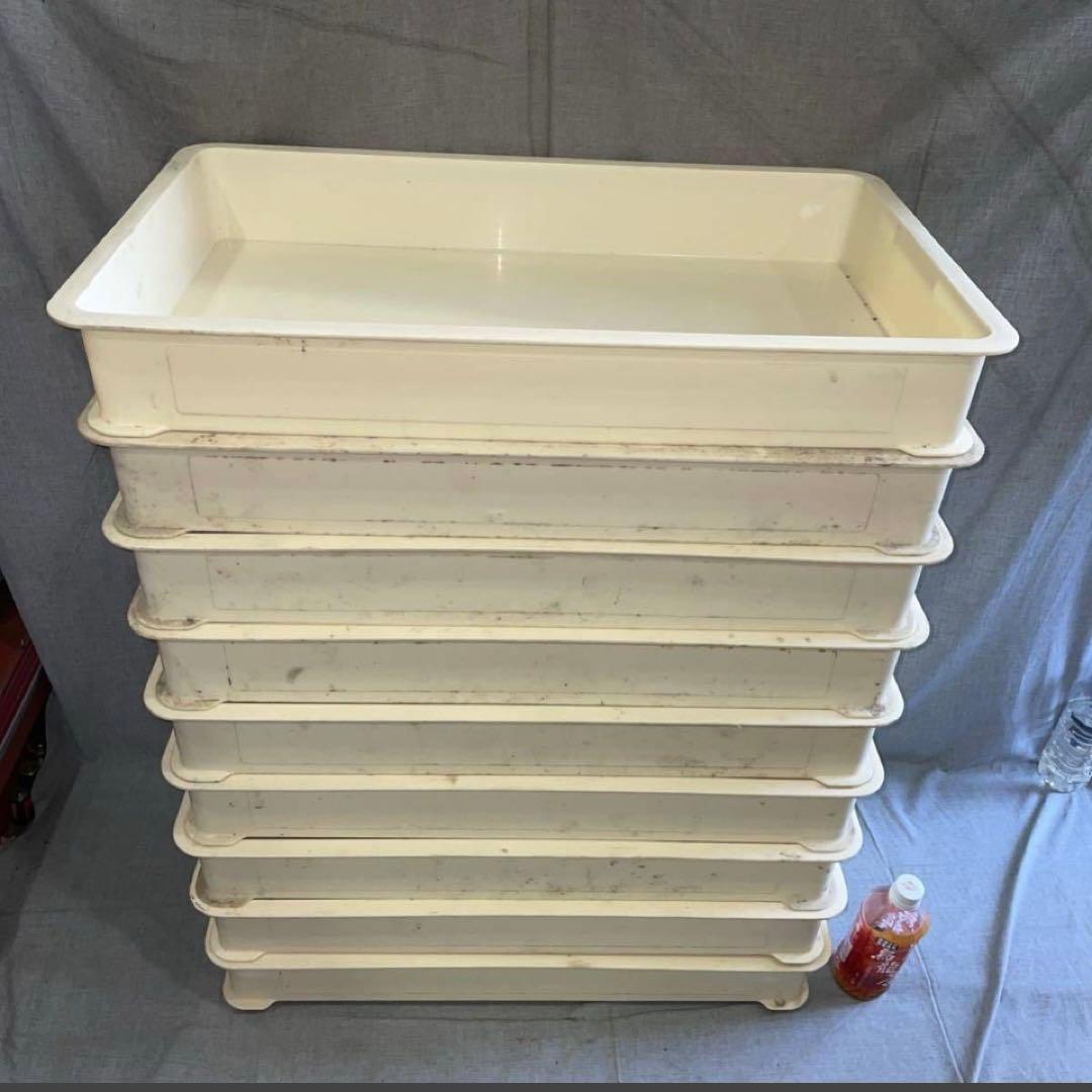 ブンタロウ、9個　業務用 厨房 フードテナー 番重 ばんじゅう　リスのプ