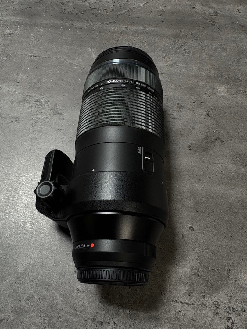 オリンパスM.ZUIKO100-400mm F5.0-6.3 IS ED MSC