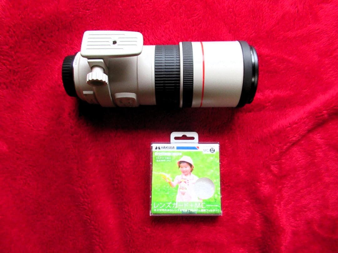 キャノン EF300mm F/4L IS USM (EFレンズ単焦点）