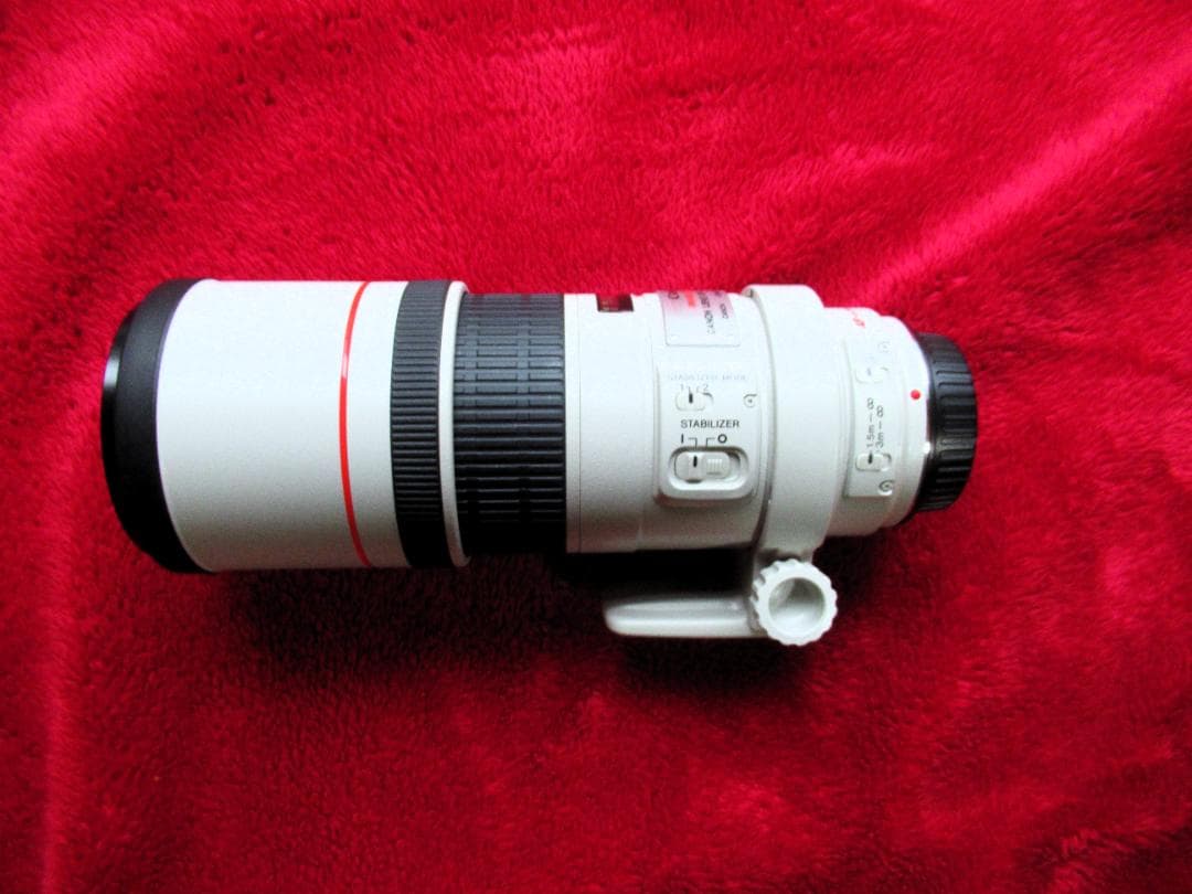 キャノン EF300mm F/4L IS USM (EFレンズ単焦点）