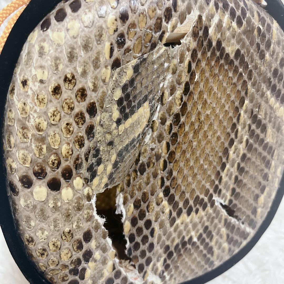 沖縄三線 本皮 一枚張り 本張り ソフトケース、爪、弦セット