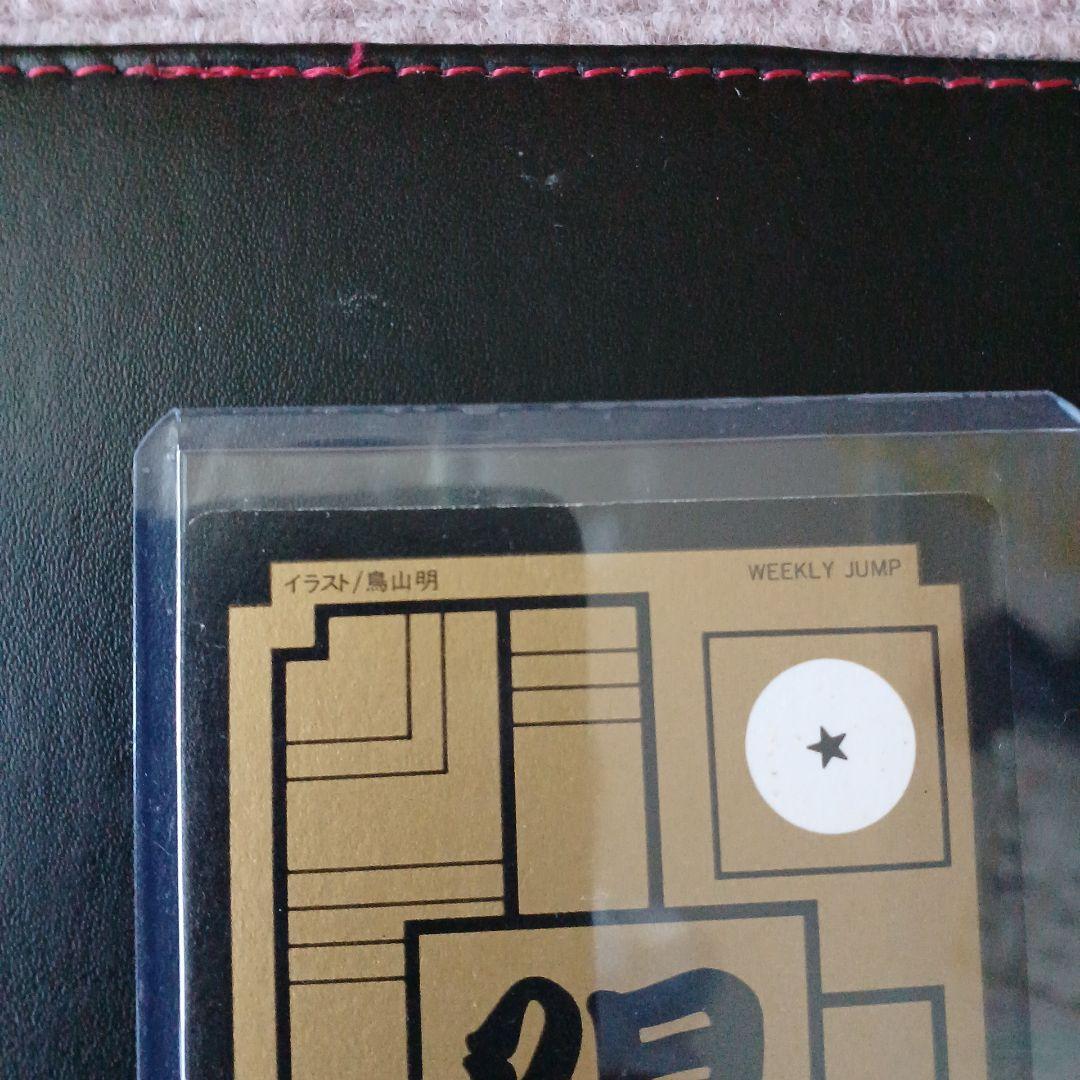 ドラゴンボール めちゃんこプロジェクトNo.1 孫悟空&悟飯【TORI】