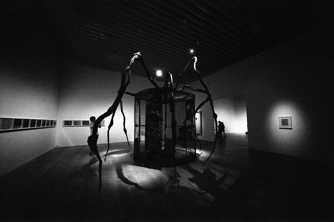 フォクトレンダー Heliar 12mm F5.6 VM ビューファインダー付き