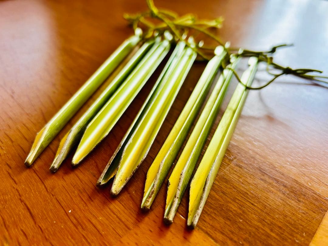 MOBI GARDEN LIGHT KNIGHT UL1 ブラウン 山岳テント