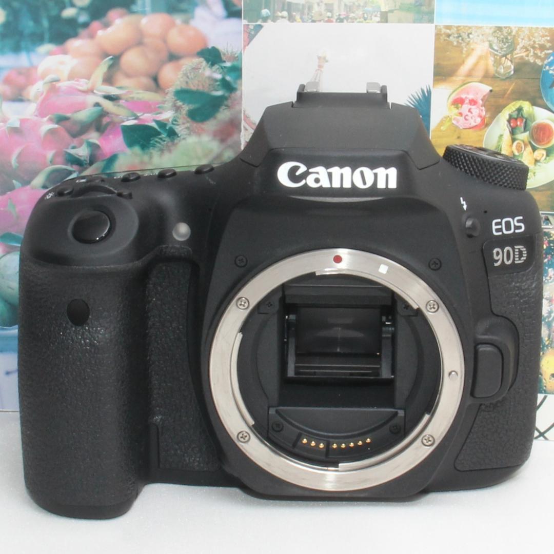❤️予備バッテリー付き❤️Canon EOS 90D 超望遠トリプルズーム❤️