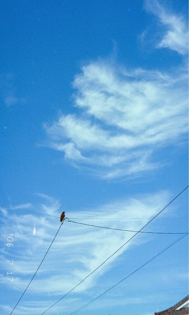 Fujifilm Silvi F2.8 （元箱・リモコン・ストラップあり）