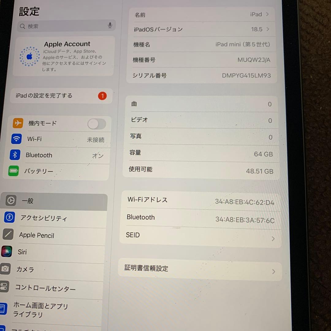 Apple iPad mini 第5世代 本体 64gb
