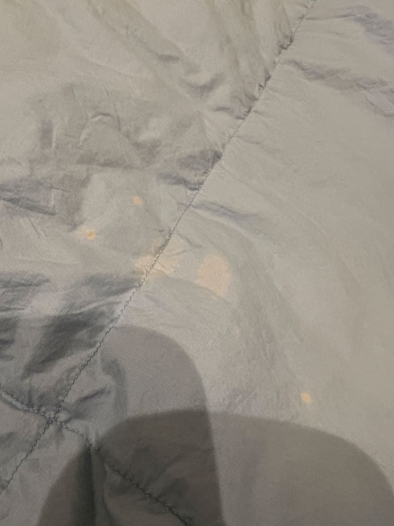 ポーランドグースダウン90% ドイツ製「セダウナ」　シングル 1.1k 軽量