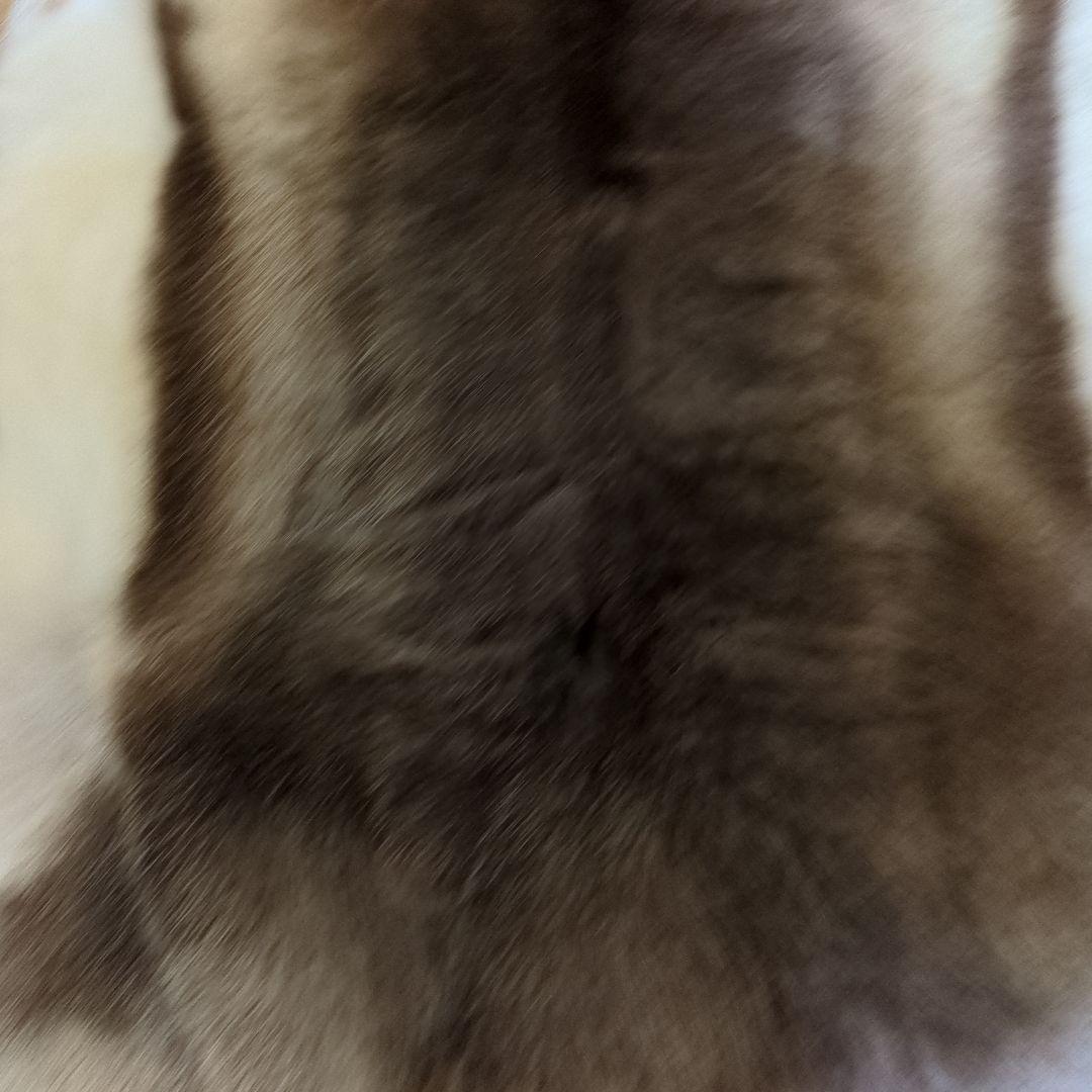 格安☆美品☆トナカイ一頭分の毛皮☆ 特大ラグマット