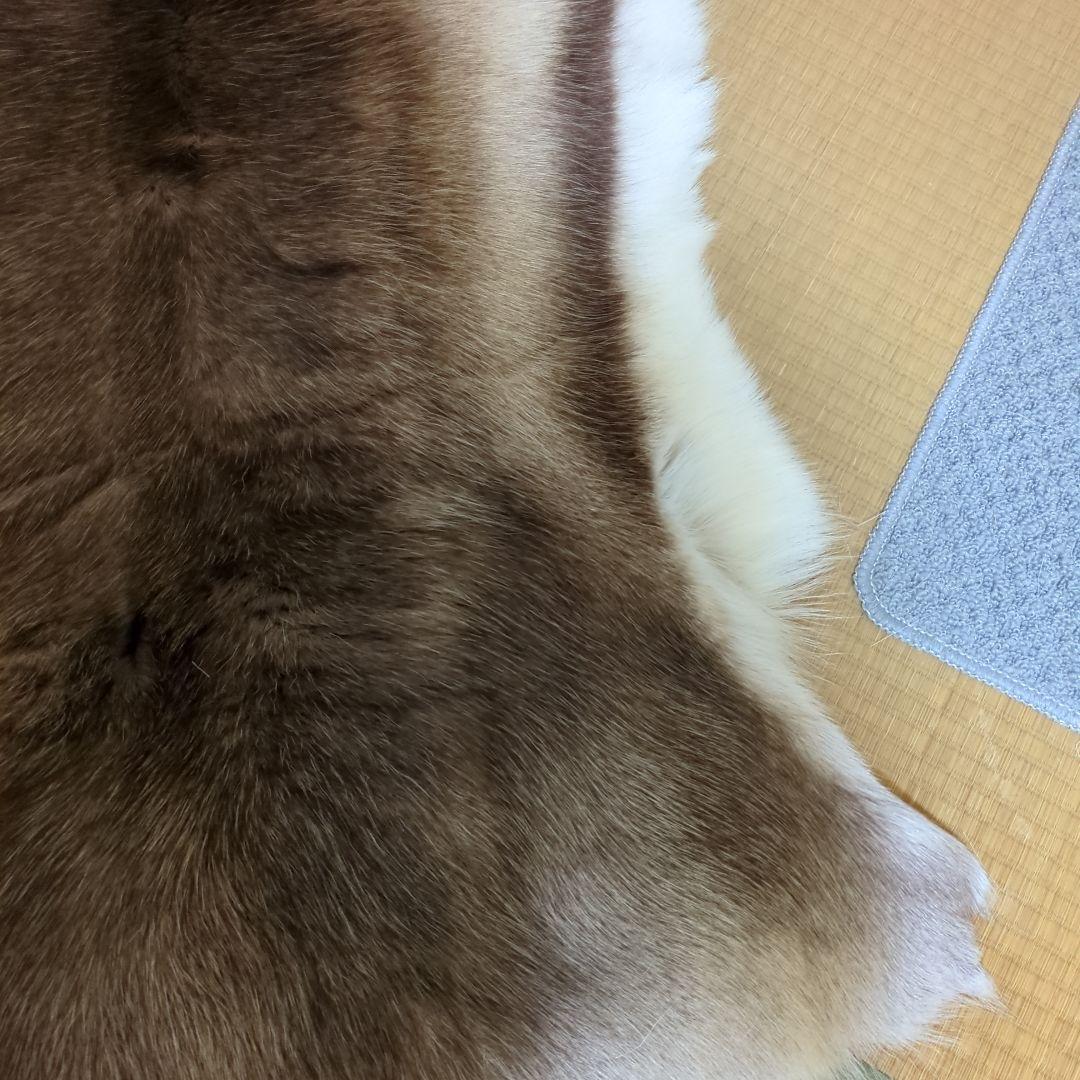 格安☆美品☆トナカイ一頭分の毛皮☆ 特大ラグマット