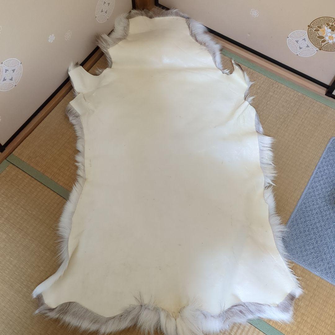 格安☆美品☆トナカイ一頭分の毛皮☆ 特大ラグマット
