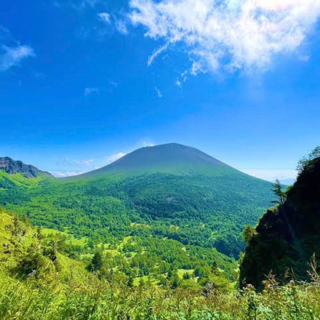 シューズ(男性用) baller3