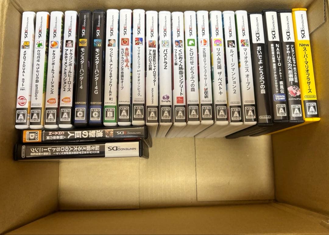 N*o様 3DS・DSカセット