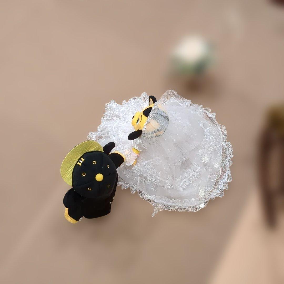 ラッキー、トラッキーウェディングコスチューム