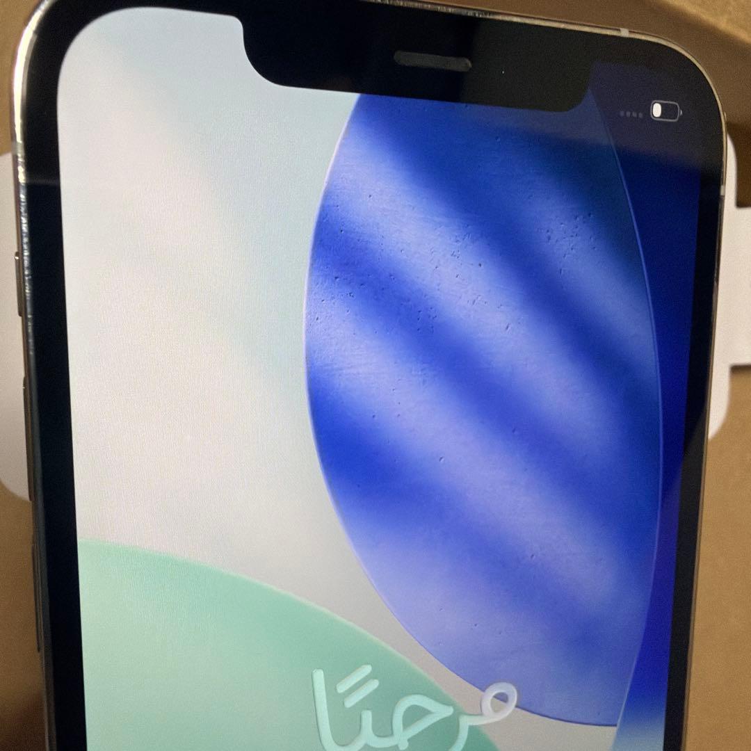 Apple iPhone 12Pro シルバー 本体