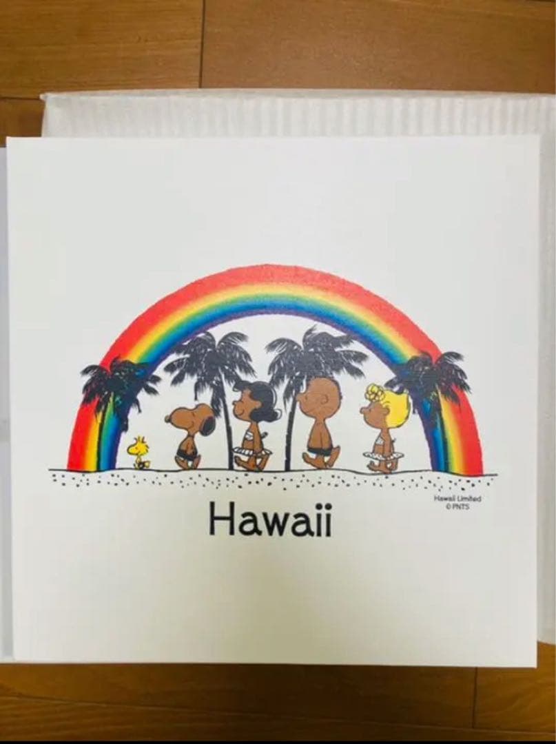 MONI HONOLULU モニホノルルの日焼けスヌーピー　キャンバス　アート