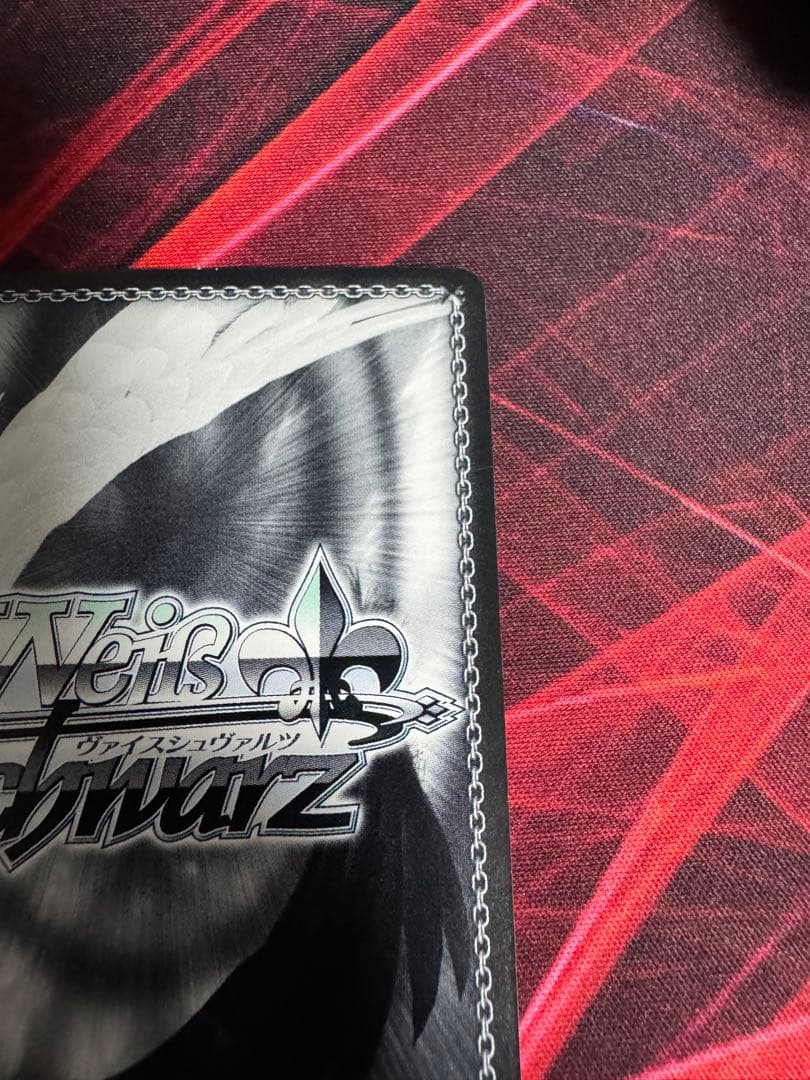 夏の思い出　鴎　SP ヴァイスシュヴァルツ