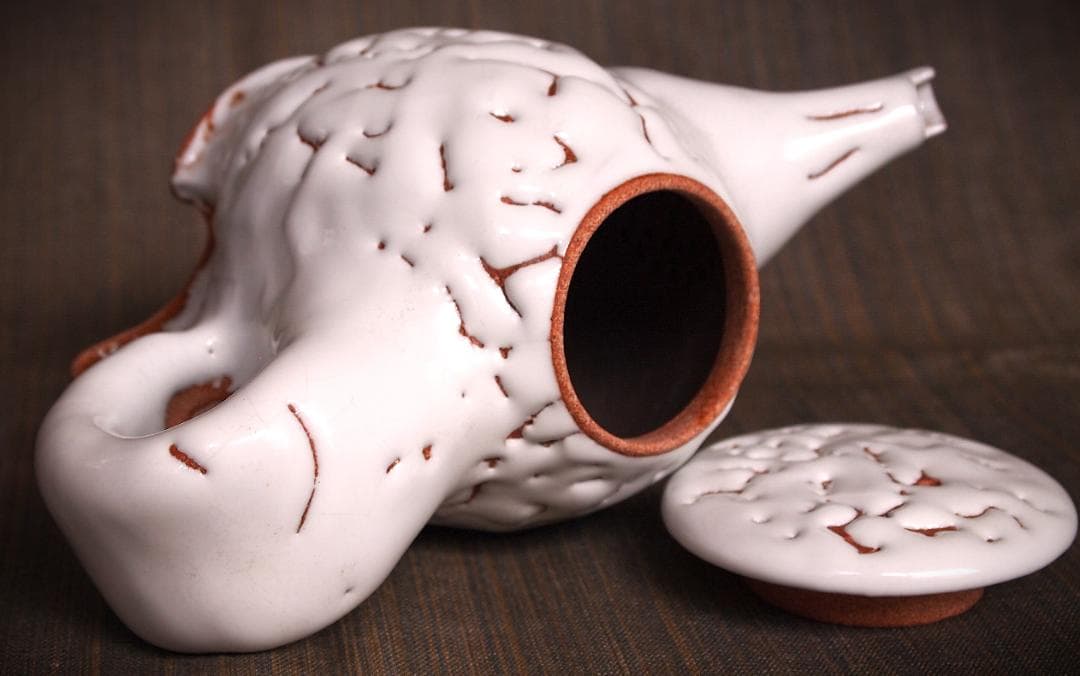 新作★時松泰礼【師：松野龍司】★白萩ティーポット（急須）★共箱