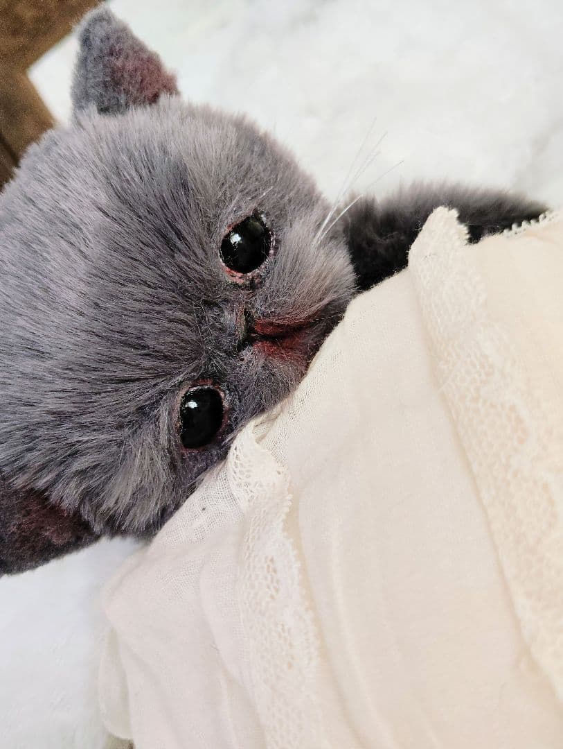 ミントグリーン様御予約❤️くりくりオメメ♡生後２週間♡子猫の黒豆ちゃん