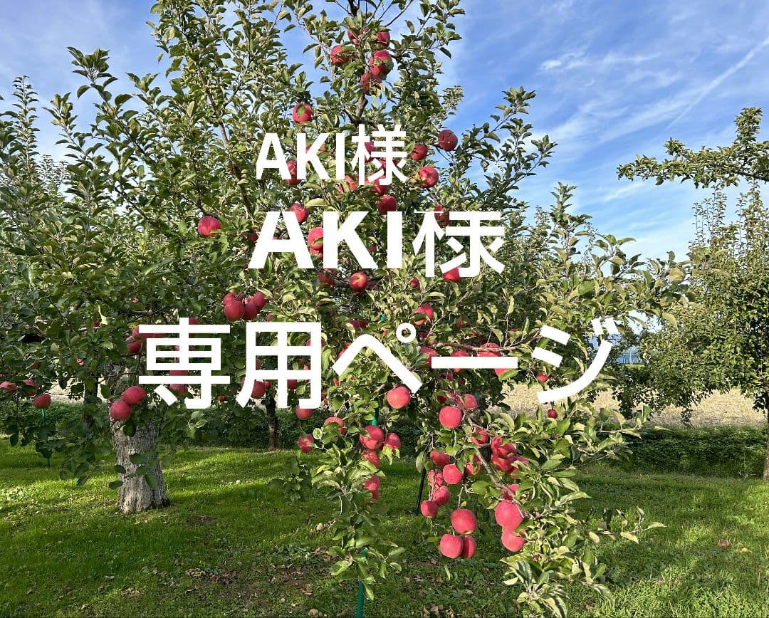 青森県産りんご　サンふじ　AKIページ　①