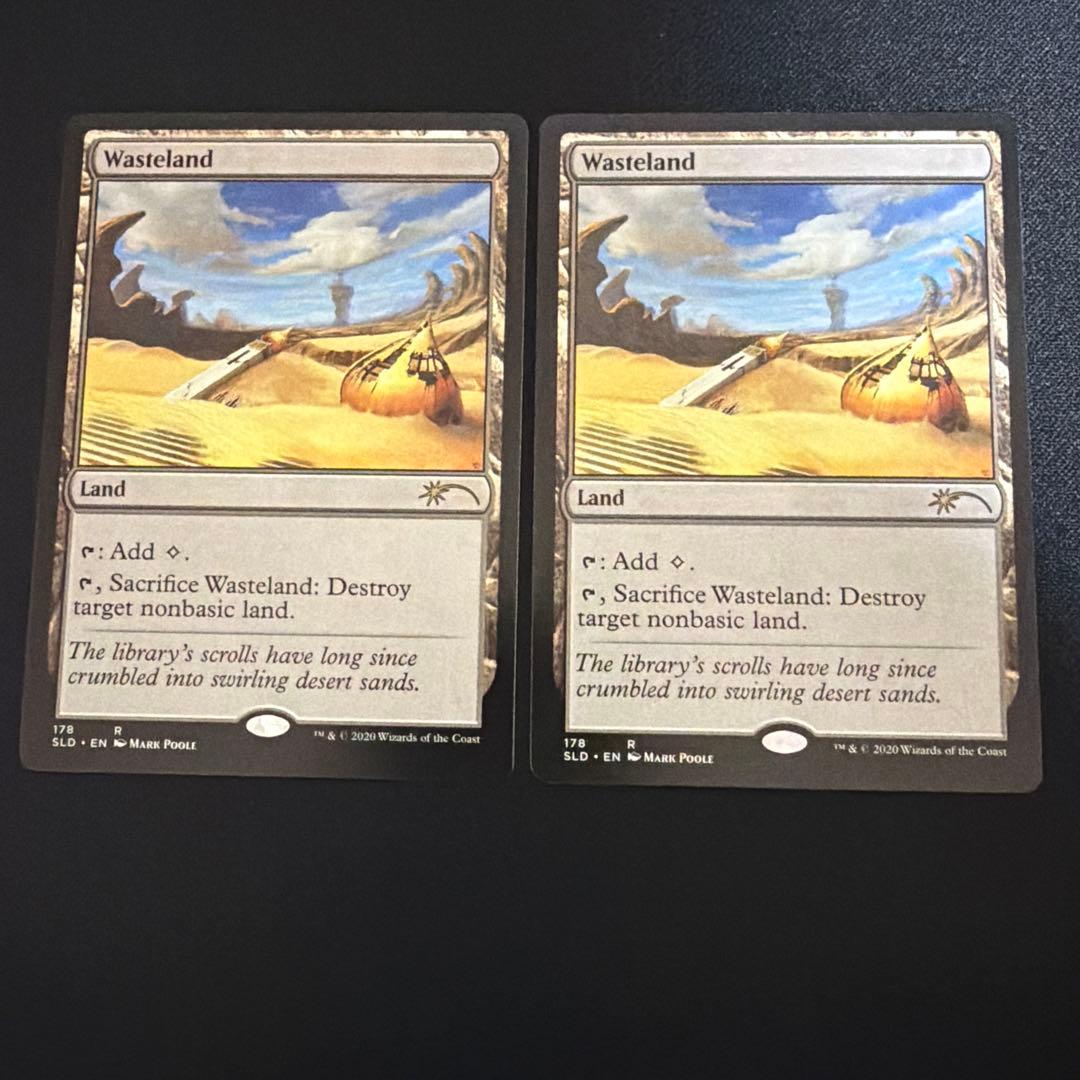 不毛の大地　Wasteland マジック：ザ・ギャザリング　英語　２枚セット