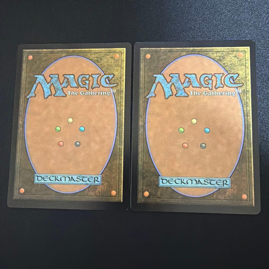 不毛の大地　Wasteland マジック：ザ・ギャザリング　英語　２枚セット