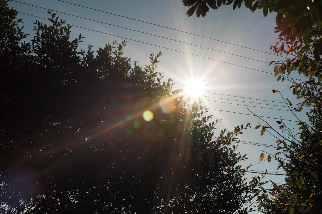 SIC【極美品】ニコン Ai-s Nikkor 50mm F1.4 866