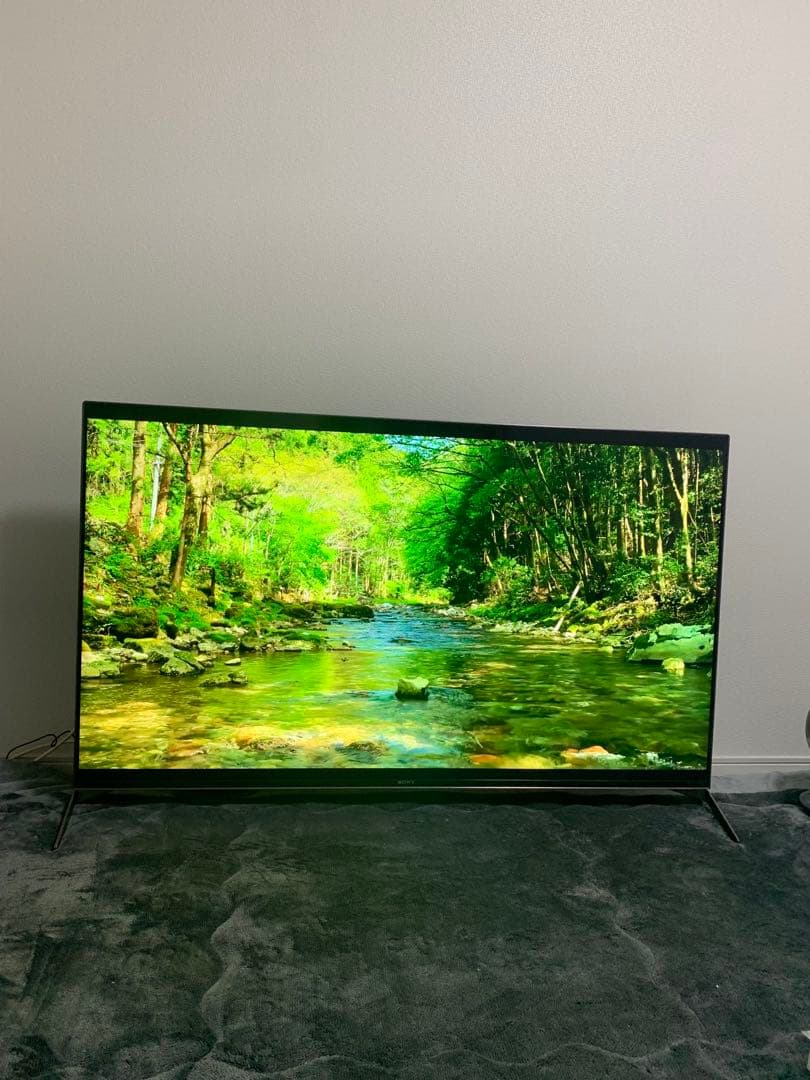 テレビ Sony Bravia KJ55X9500H