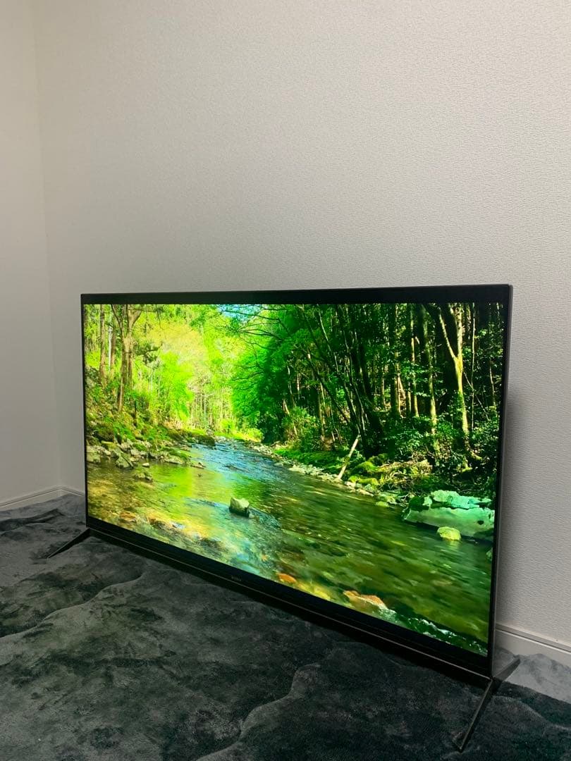 テレビ Sony Bravia KJ55X9500H