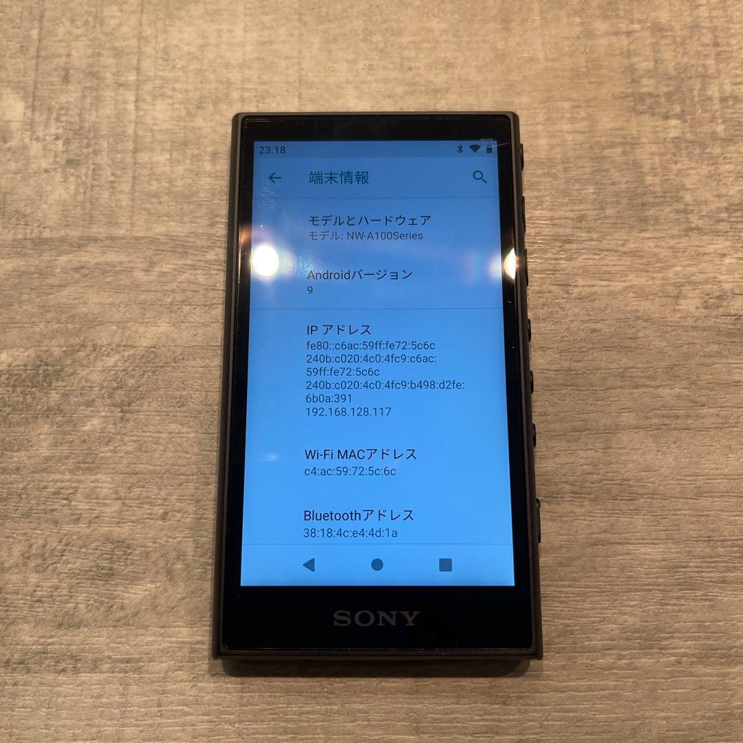 ウォークマン NW-A107 64GB 純正シリコンケース