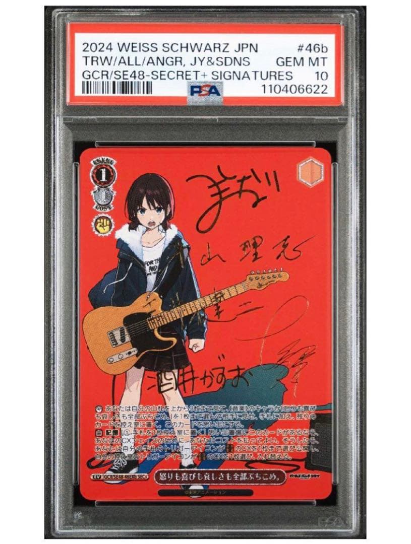 《PSA10》ヴァイス 怒りも喜びも哀しさも全部ぶちこめ。 sec+