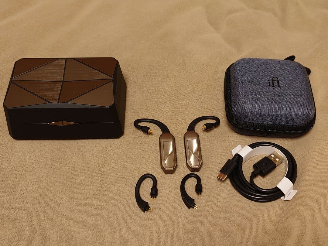 iFi GO pod Max 初回限定セット 国内正規品