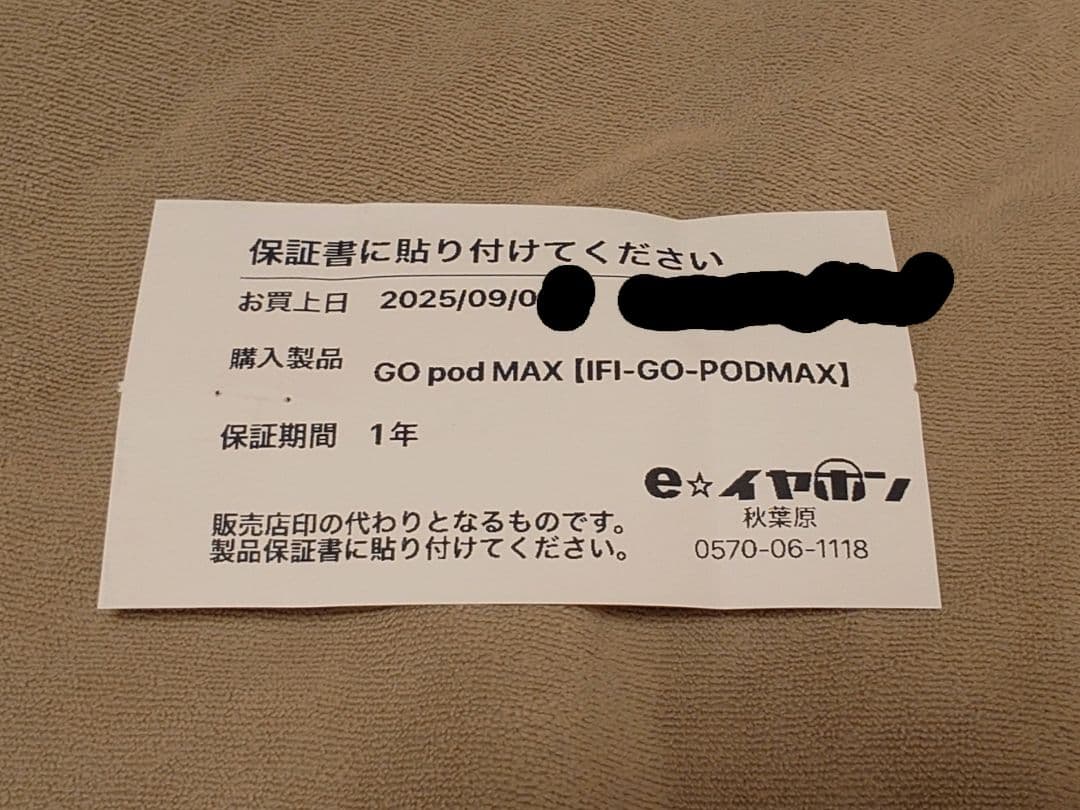iFi GO pod Max 初回限定セット 国内正規品