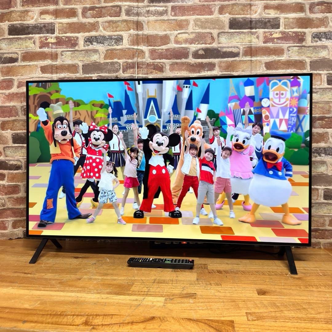 LG 48インチ 4K 有機ELテレビ OLED48A2PJA 動画アプリ搭載