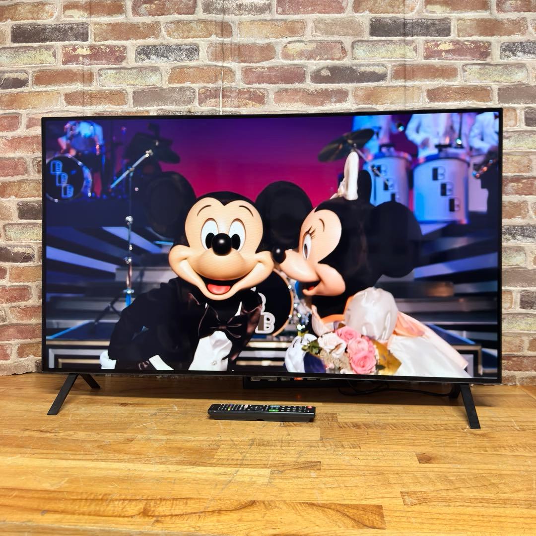 LG 48インチ 4K 有機ELテレビ OLED48A2PJA 動画アプリ搭載